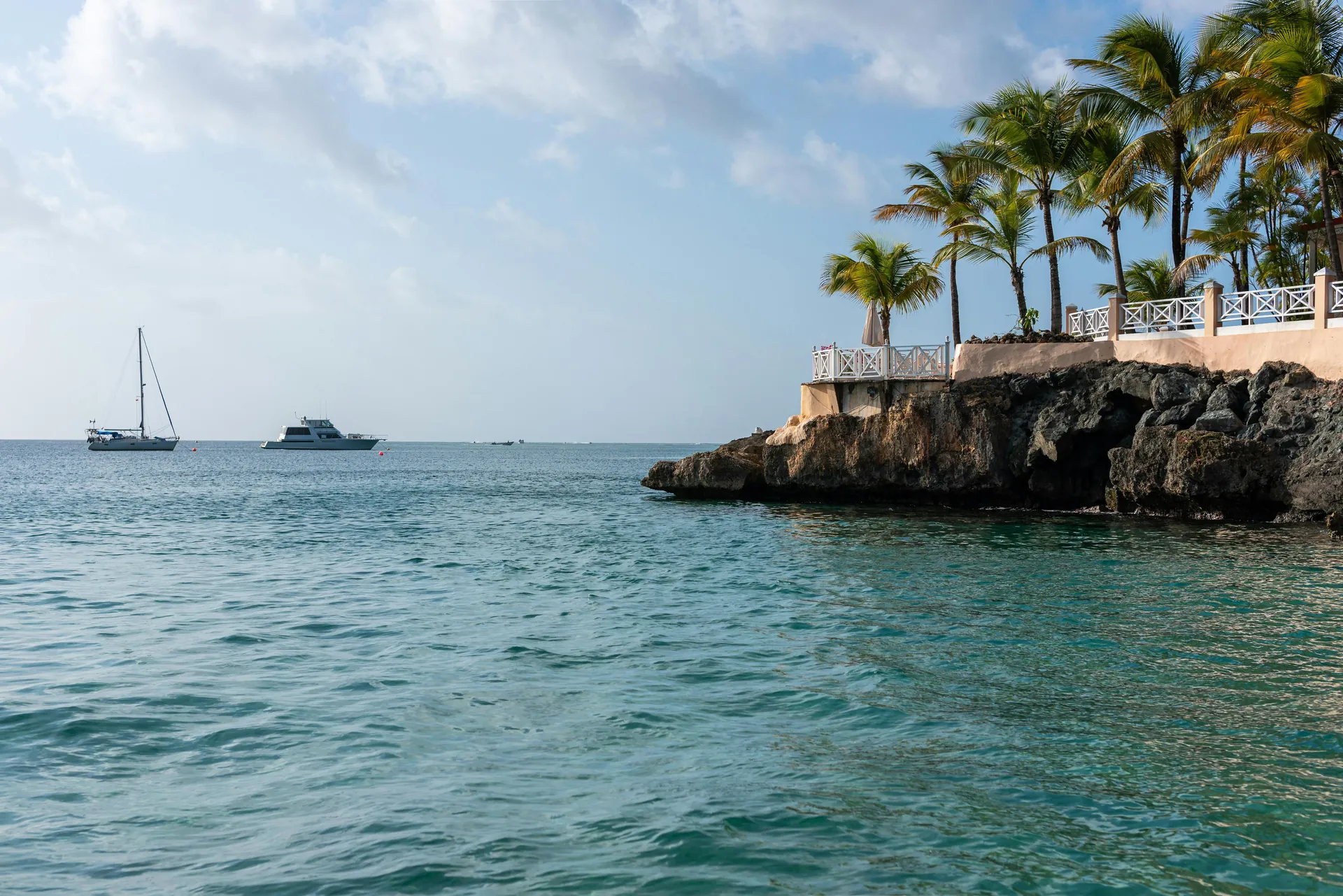 Discover serene palm-lined cliffs and tranquil waters in Tobago, perfect for a Caribbean escape.