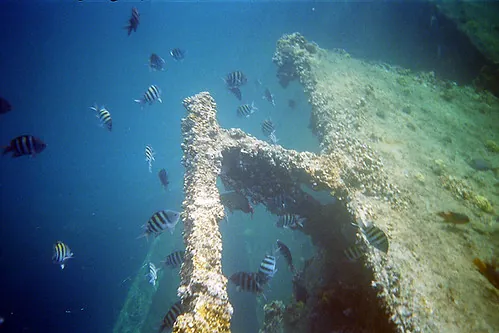 Antilla shipwreck