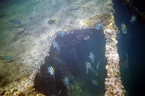 Antilla shipwreck