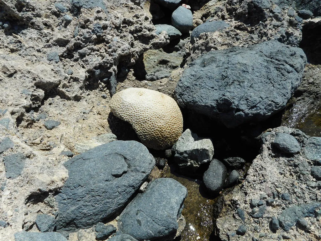 Natural Pool in Arikok National Park, Aruba, Sep 2018