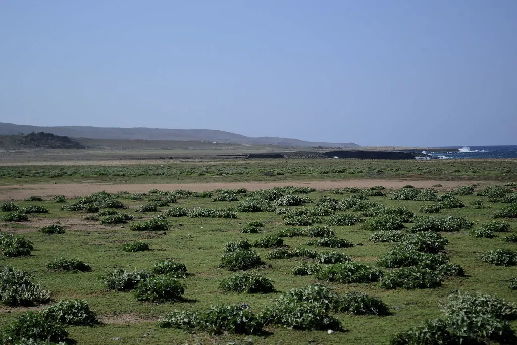 Arikok National Park - Aruba